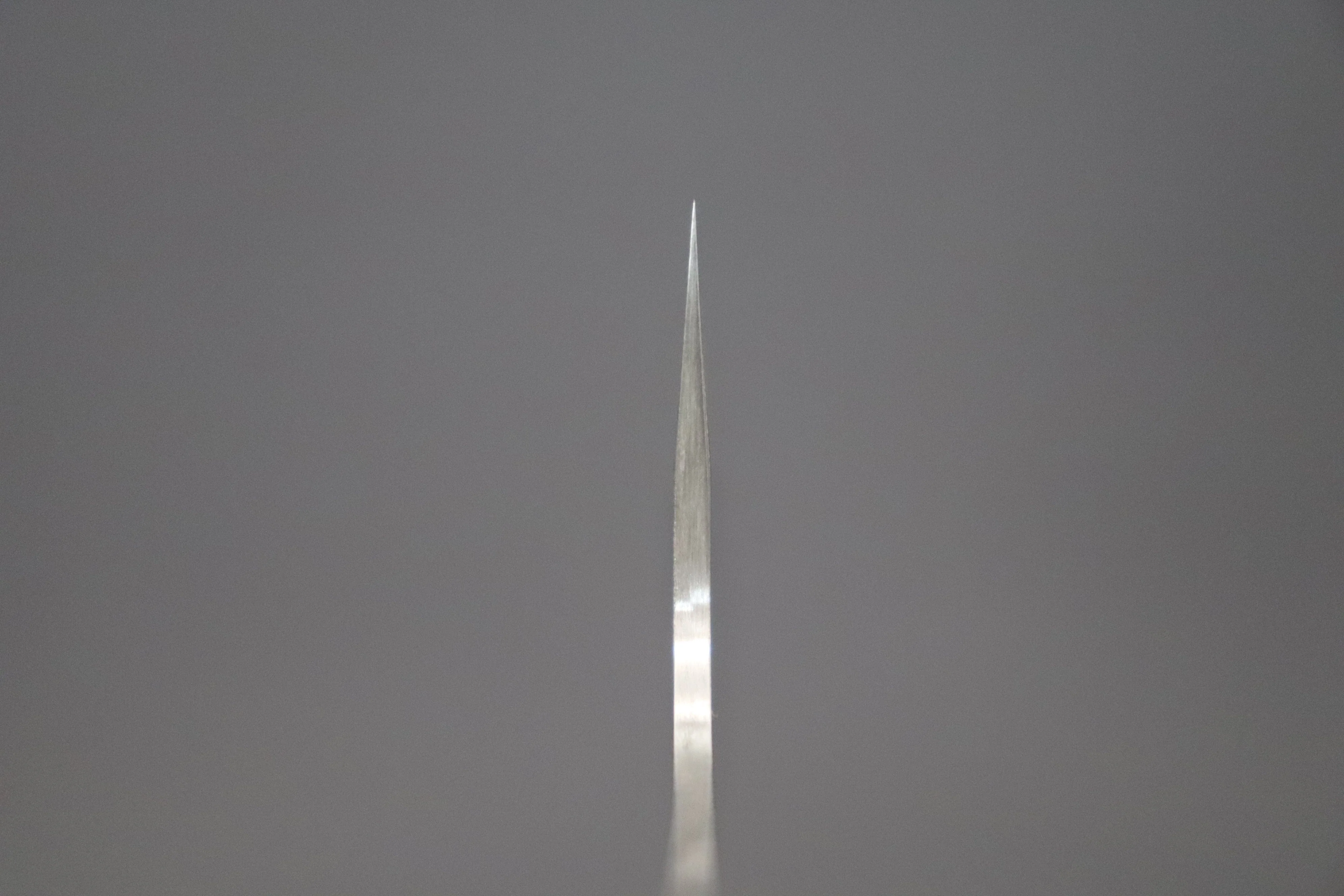 “Build Your Dream Knife” Takeshi Saji “Ocean Sunshine” VG-10 Custom Hammered Damascus TSBO-2 Wa Gyuto 210mm (8.2 Inch) - Image 4