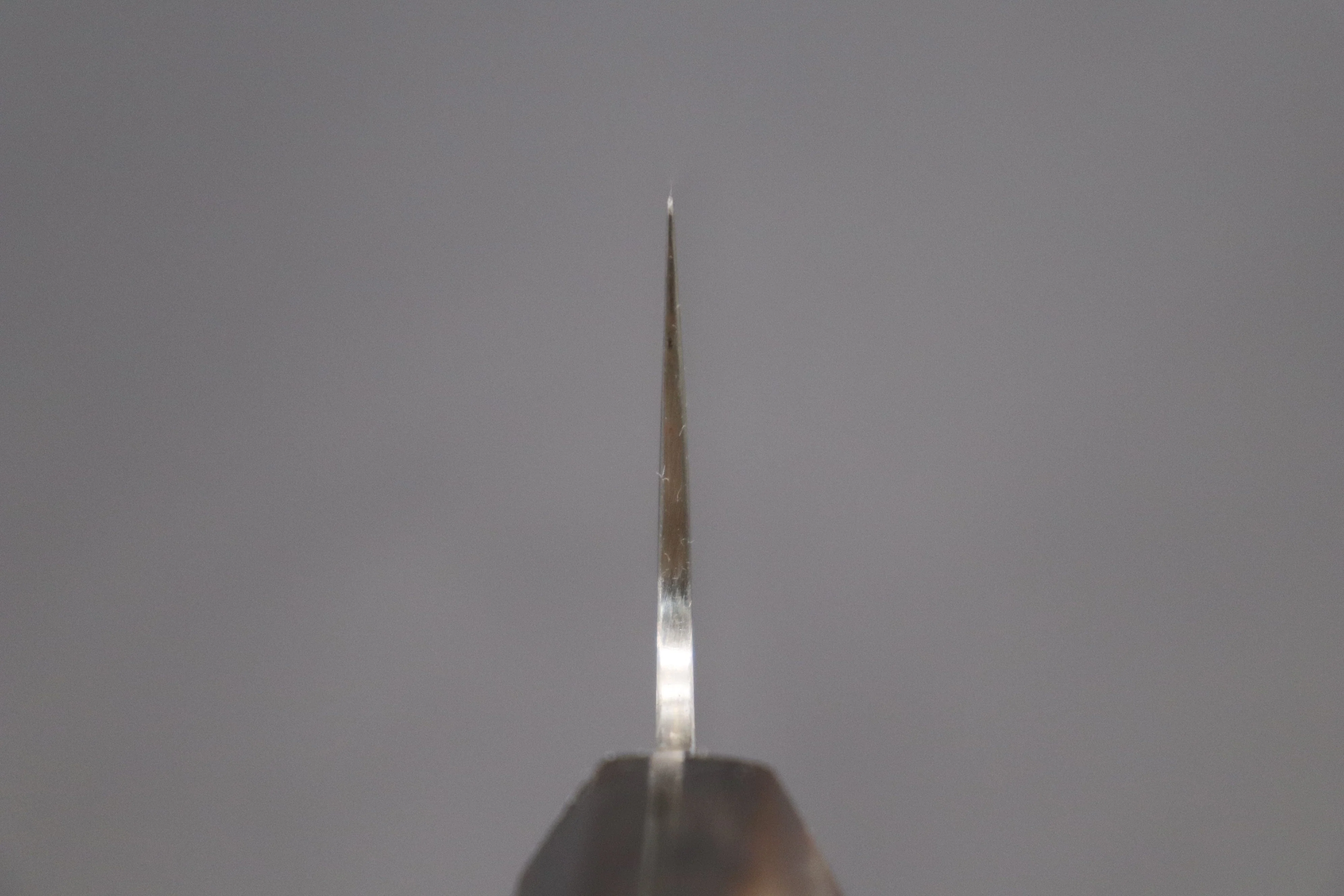 Fu-Rin-Ka-Zan ZDP-189 Wa Series Wa Gyuto (210mm to 270mm, 3 sizes, Octagon Shaped Bocote Wooden Handle) - Image 4