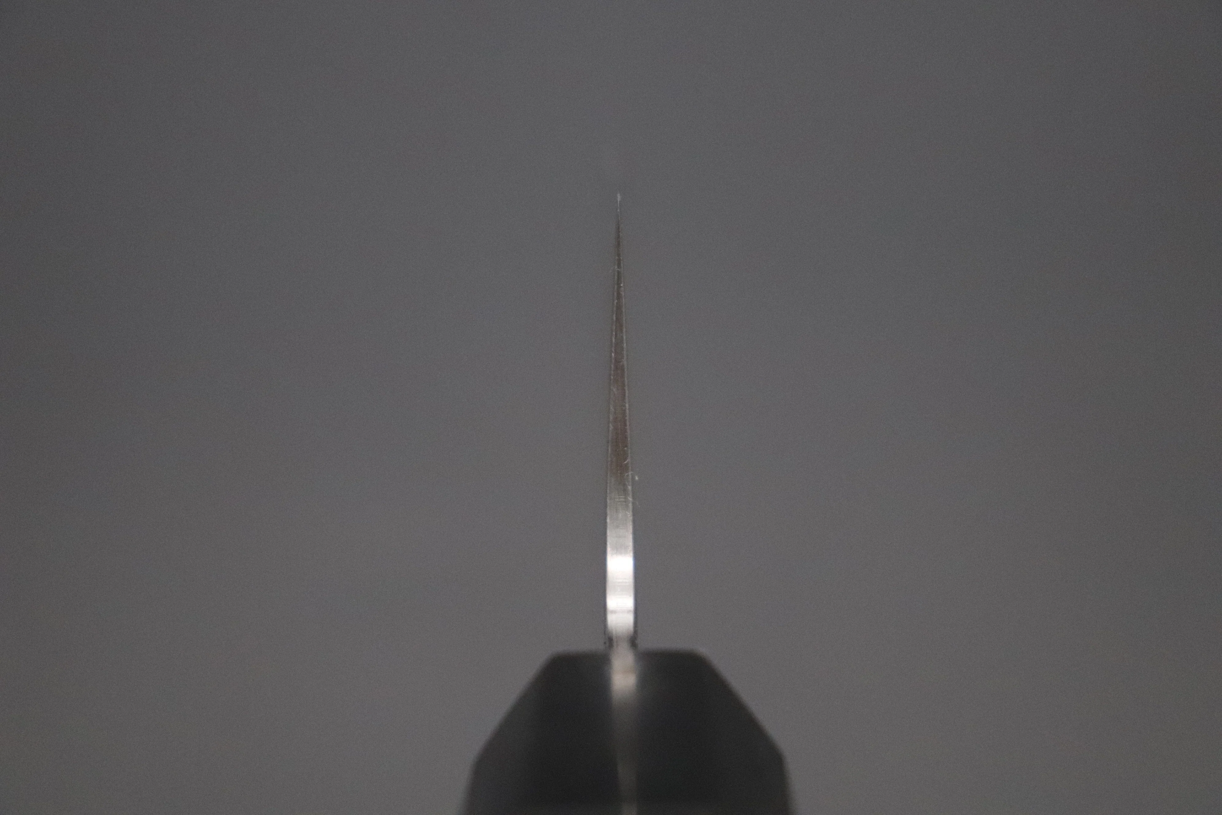 Custom Limited Edition, Sukenari HAP-40 Clad Wa Gyuto 210mm (8.2 inch, SCL-600) - Image 4