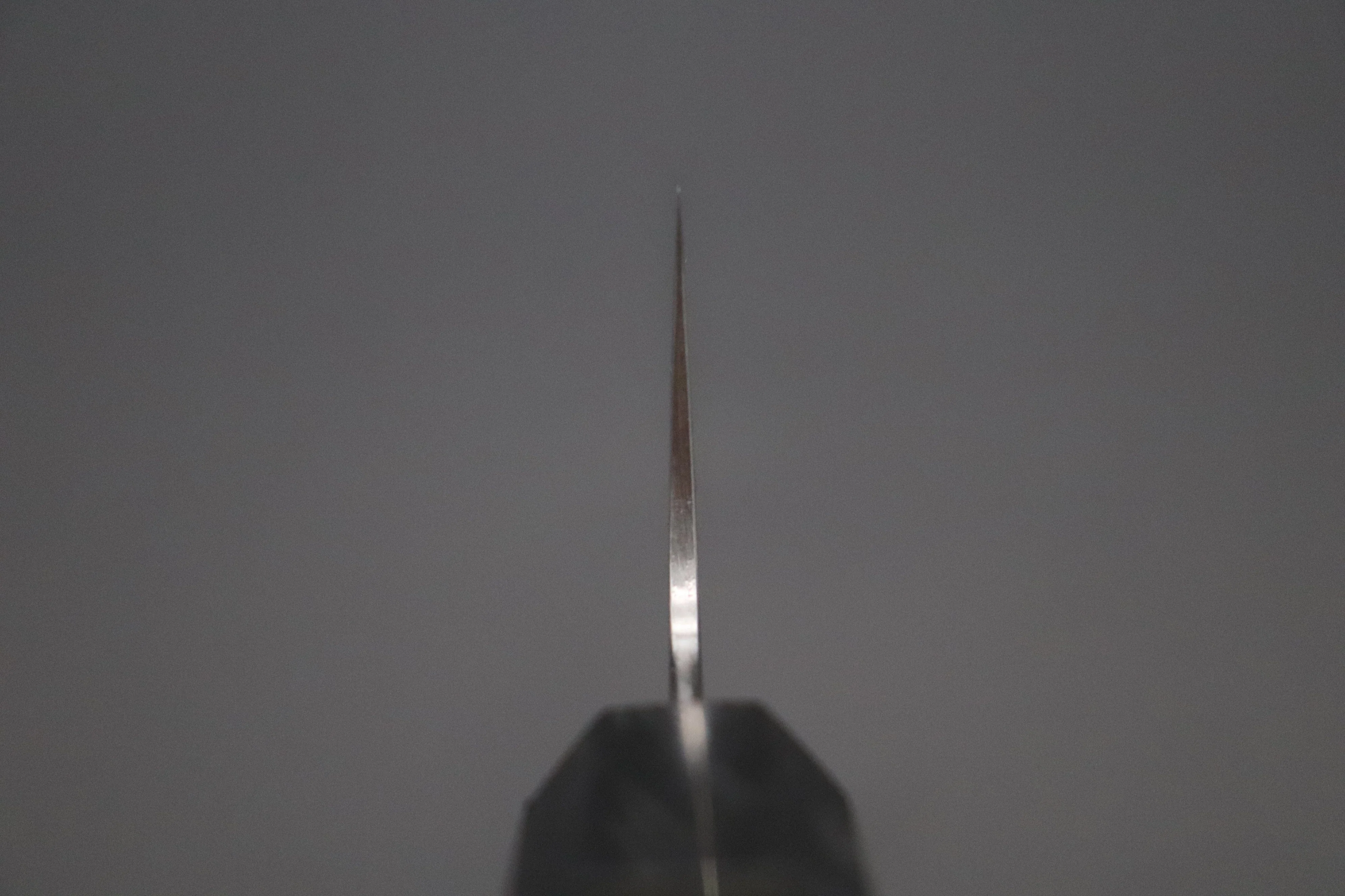 Custom Limited Edition, Sukenari HAP-40 Clad Wa Gyuto 240mm (9.4 inch, SCL-606) - Image 4