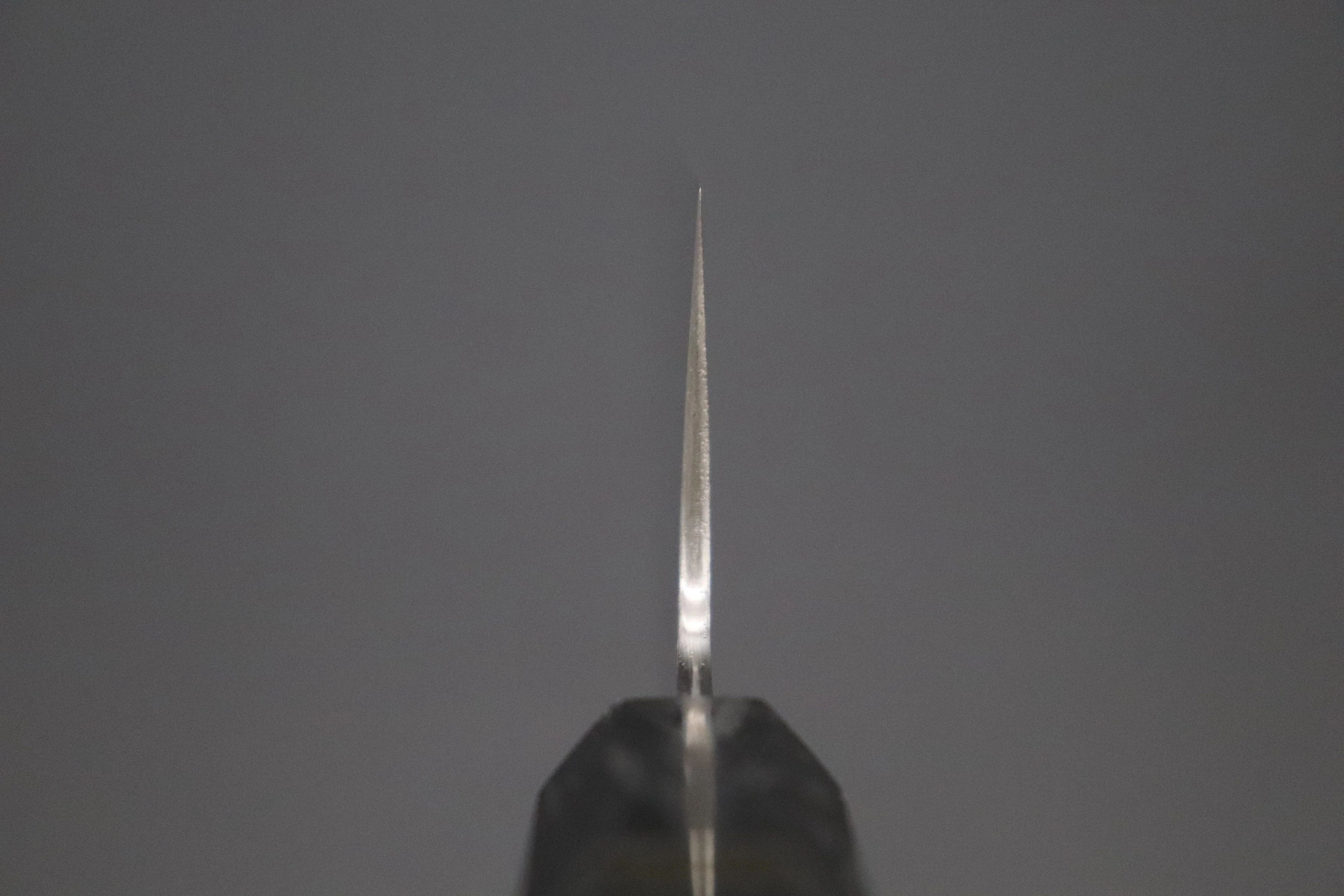 Custom Limited Edition, Sukenari ZDP-189 Clad Kiritsuke 270mm (10.6 inch, SCL-575) - Image 4