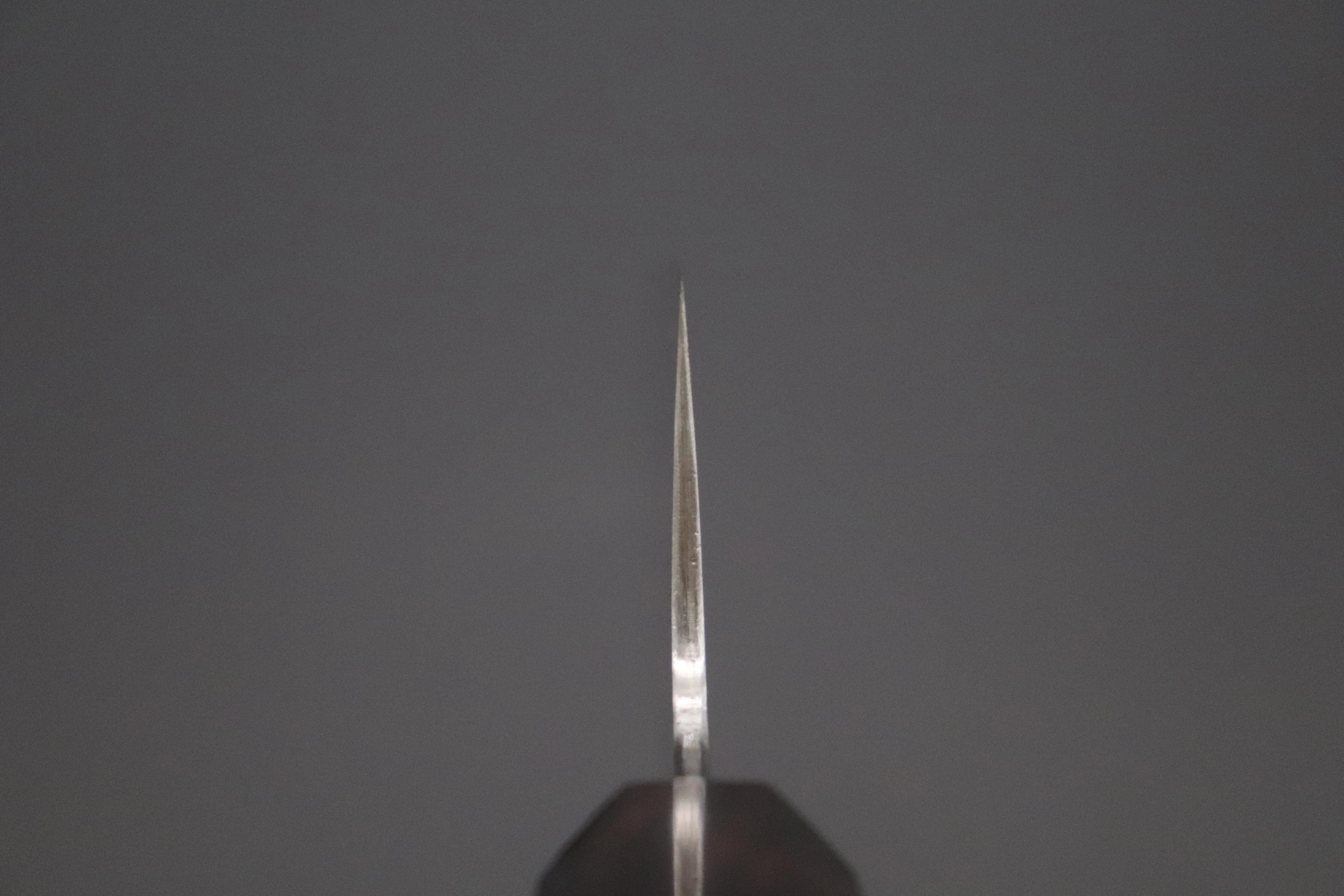 Custom Limited Edition, Sukenari ZDP-189 Clad Wa Gyuto 240mm (9.4 inch, SCL-546) - Image 4