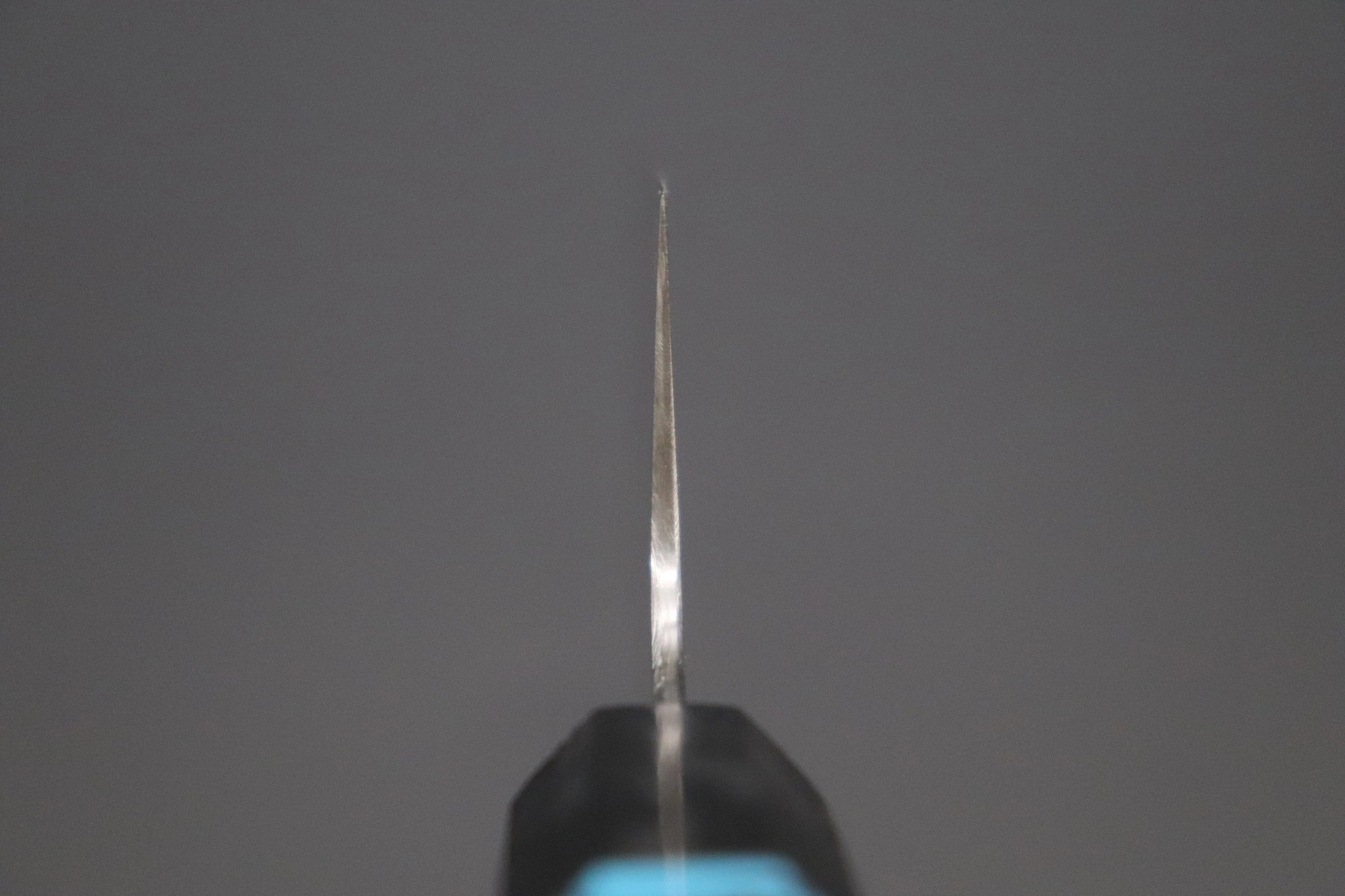 Custom Limited Edition, Sukenari ZDP-189 Clad Wa Gyuto 240mm (9.4 inch, SCL-548) - Image 4