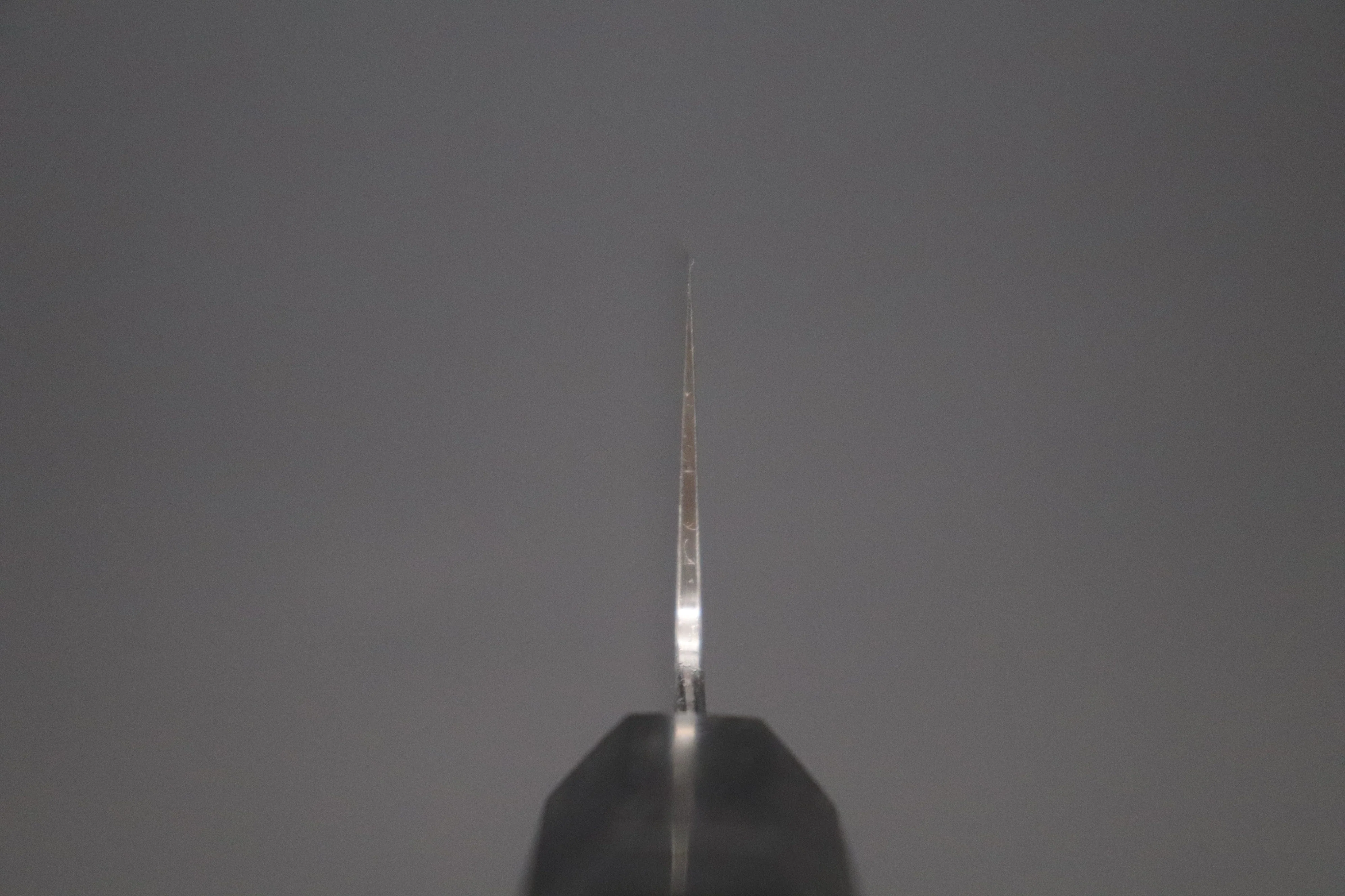 Custom Limited Edition, Sukenari ZDP-189 Clad Wa Gyuto 240mm (9.4 inch, SCL-549) - Image 4