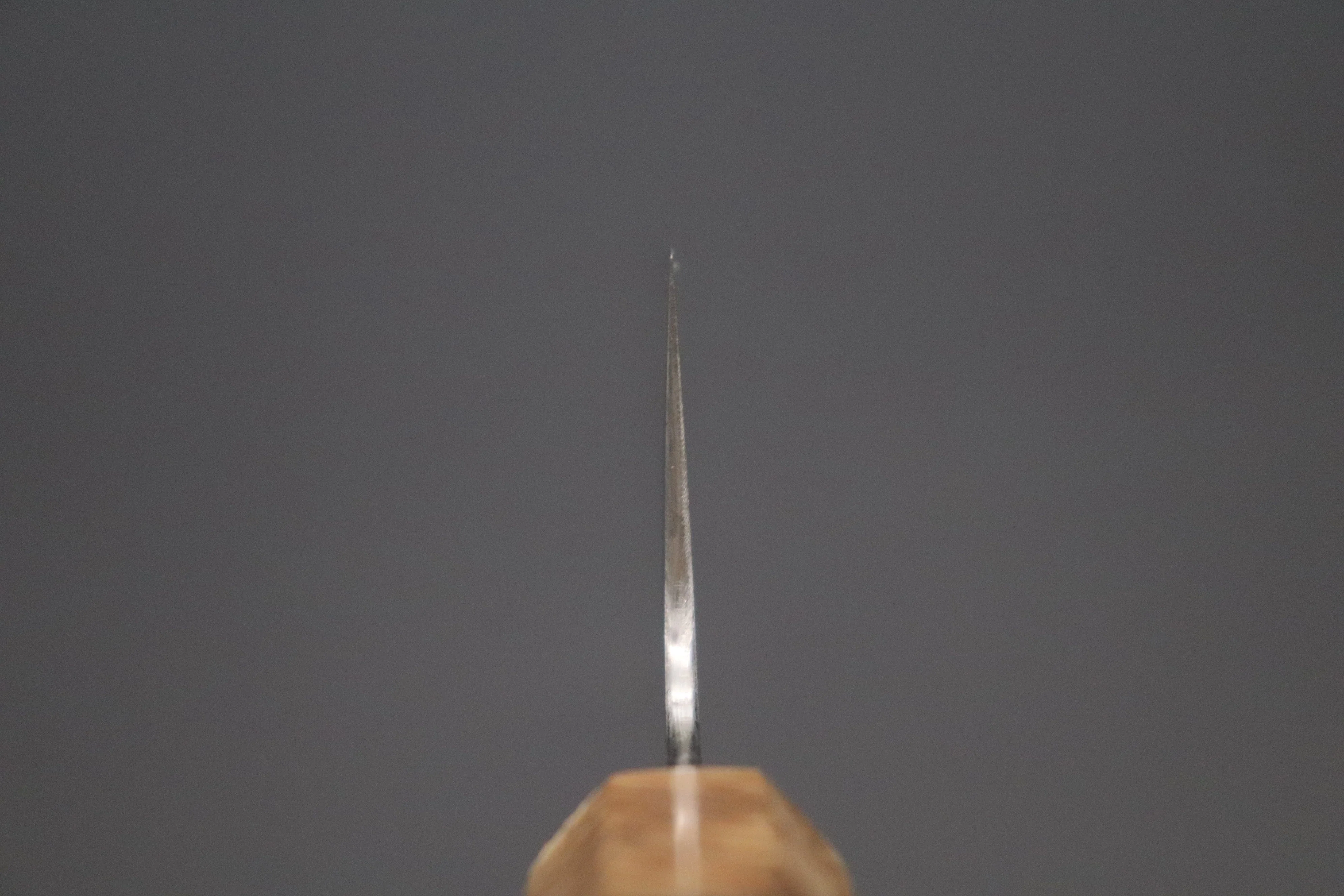 Custom Limited Edition, Sukenari ZDP-189 Clad Wa Gyuto 270mm (10.6 inch, SCL-558) - Image 4