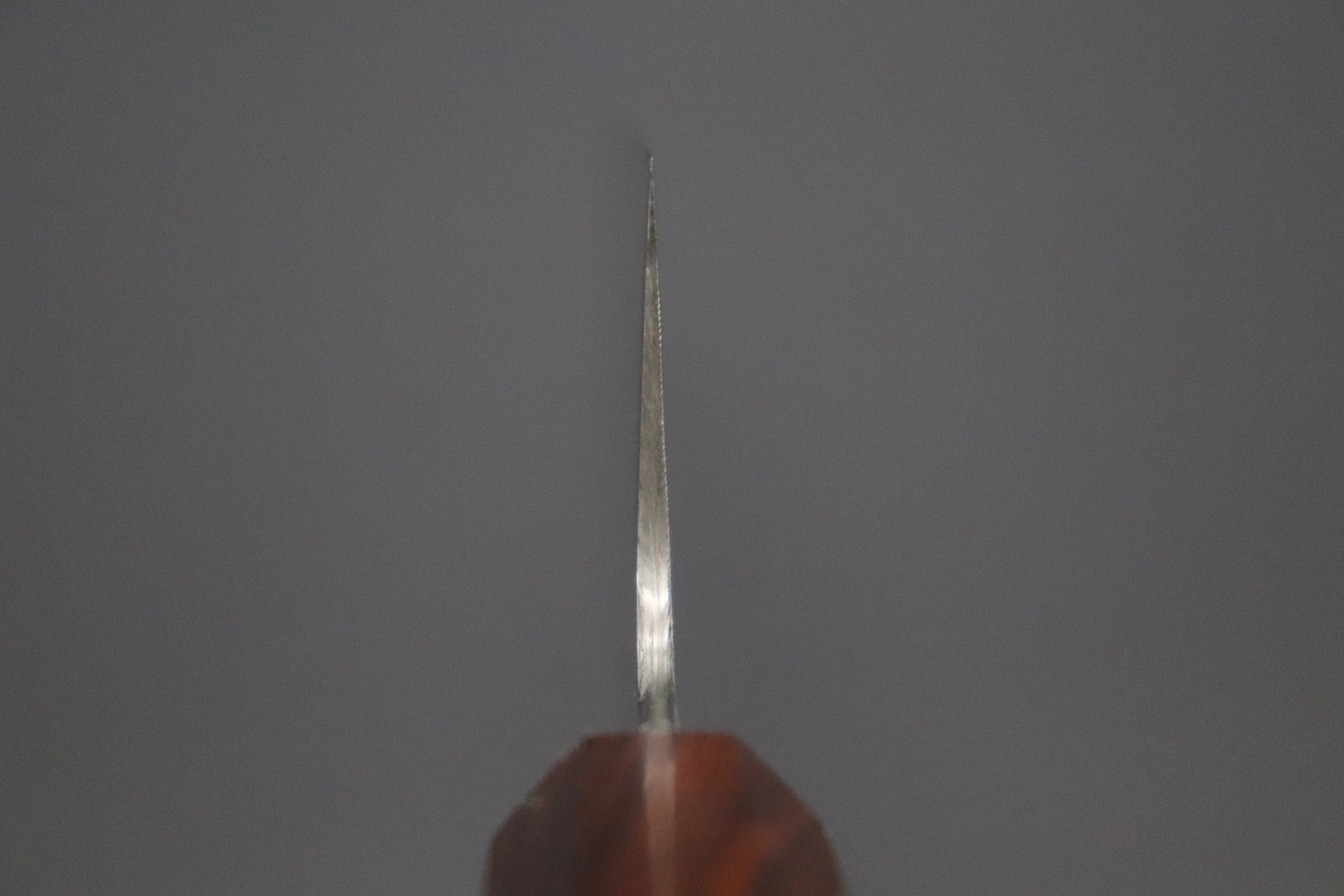 Custom Limited Edition, Sukenari ZDP-189 Clad Wa Gyuto 270mm (10.6 inch, SCL-559) - Image 4