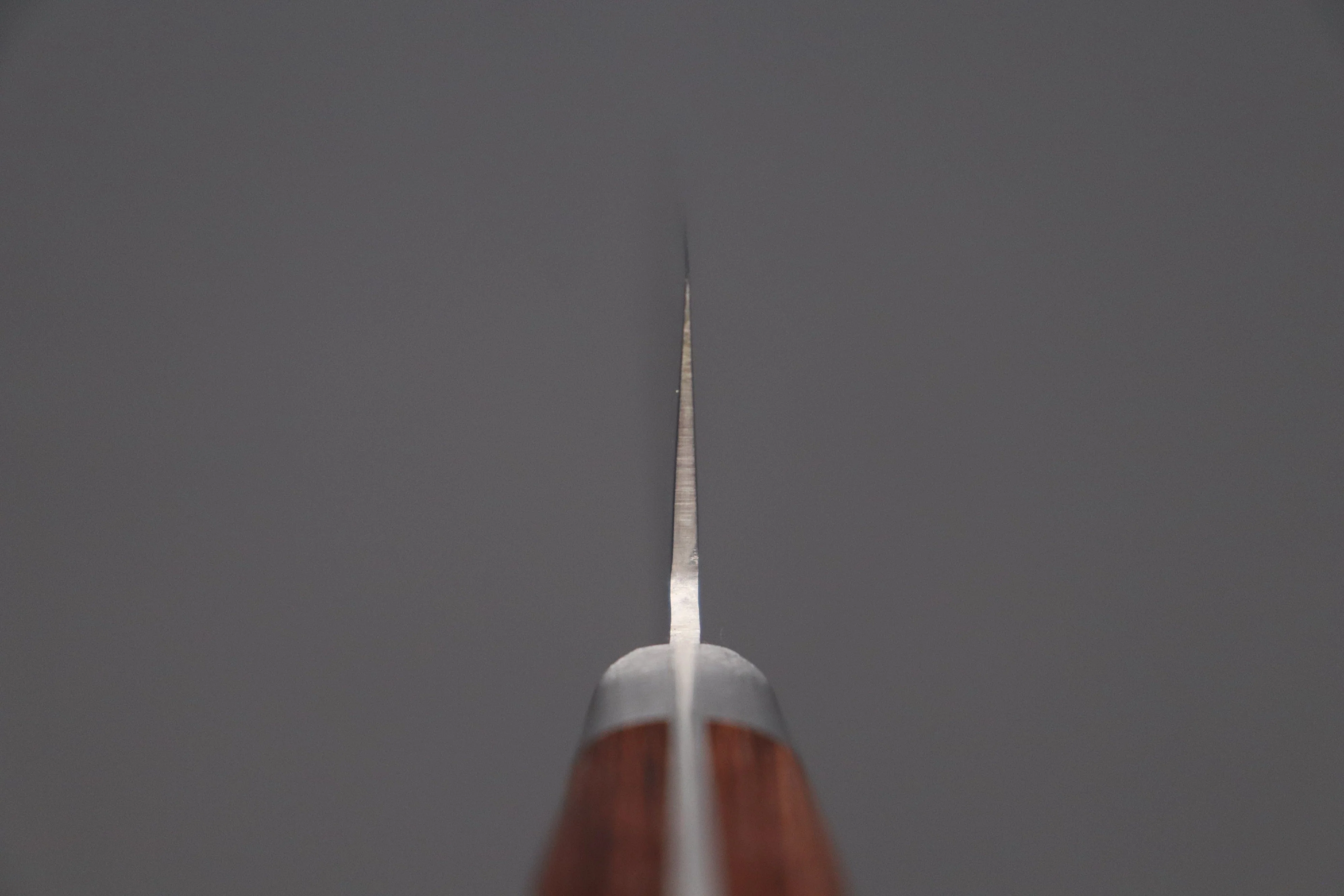 JCK Natures Gekko Series Gyuto (180mm to 240mm, 3 sizes) - Image 4