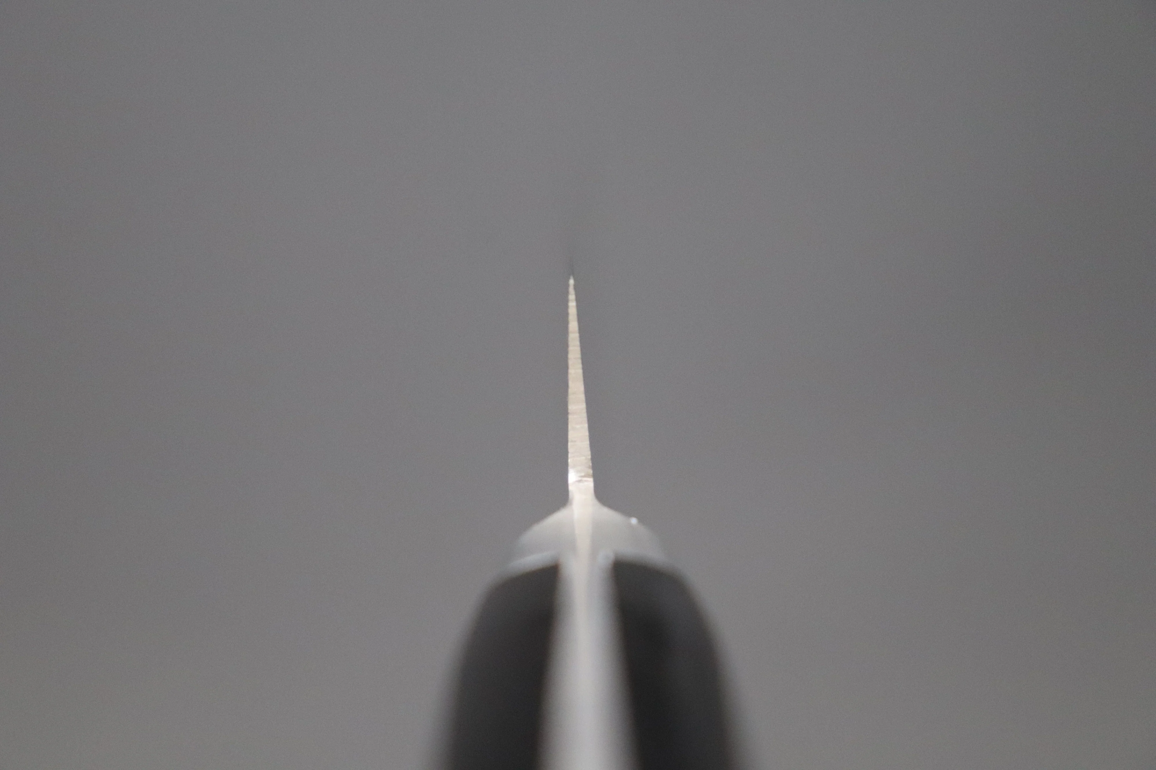 Fujiwara Kanefusa FKH Series Sujihiki (240mm and 270mm, 2 sizes) - Image 4