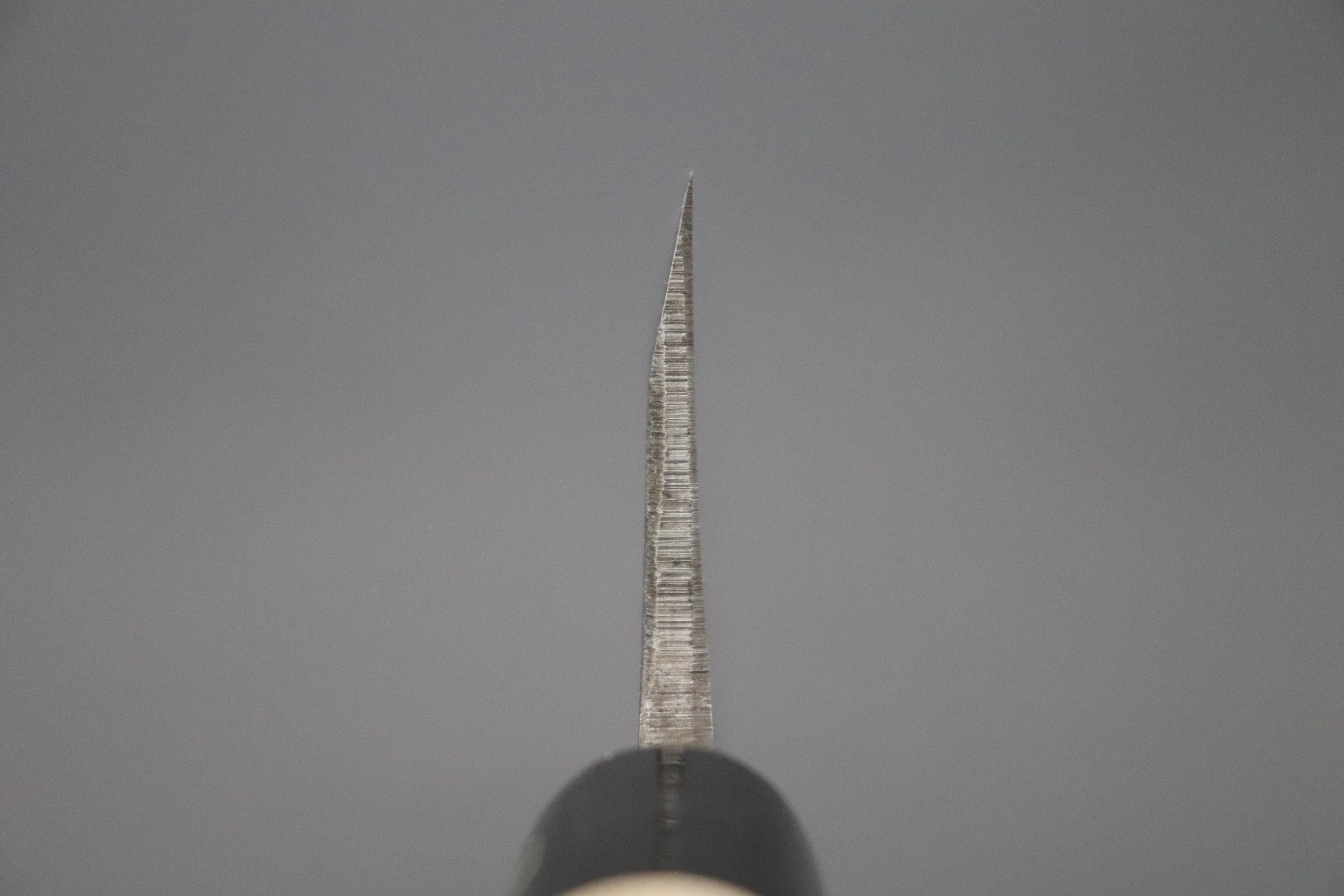 Fujiwara Kanefusa FKJ Series Deba (165mm and 180mm, 2 sizes) - Image 4