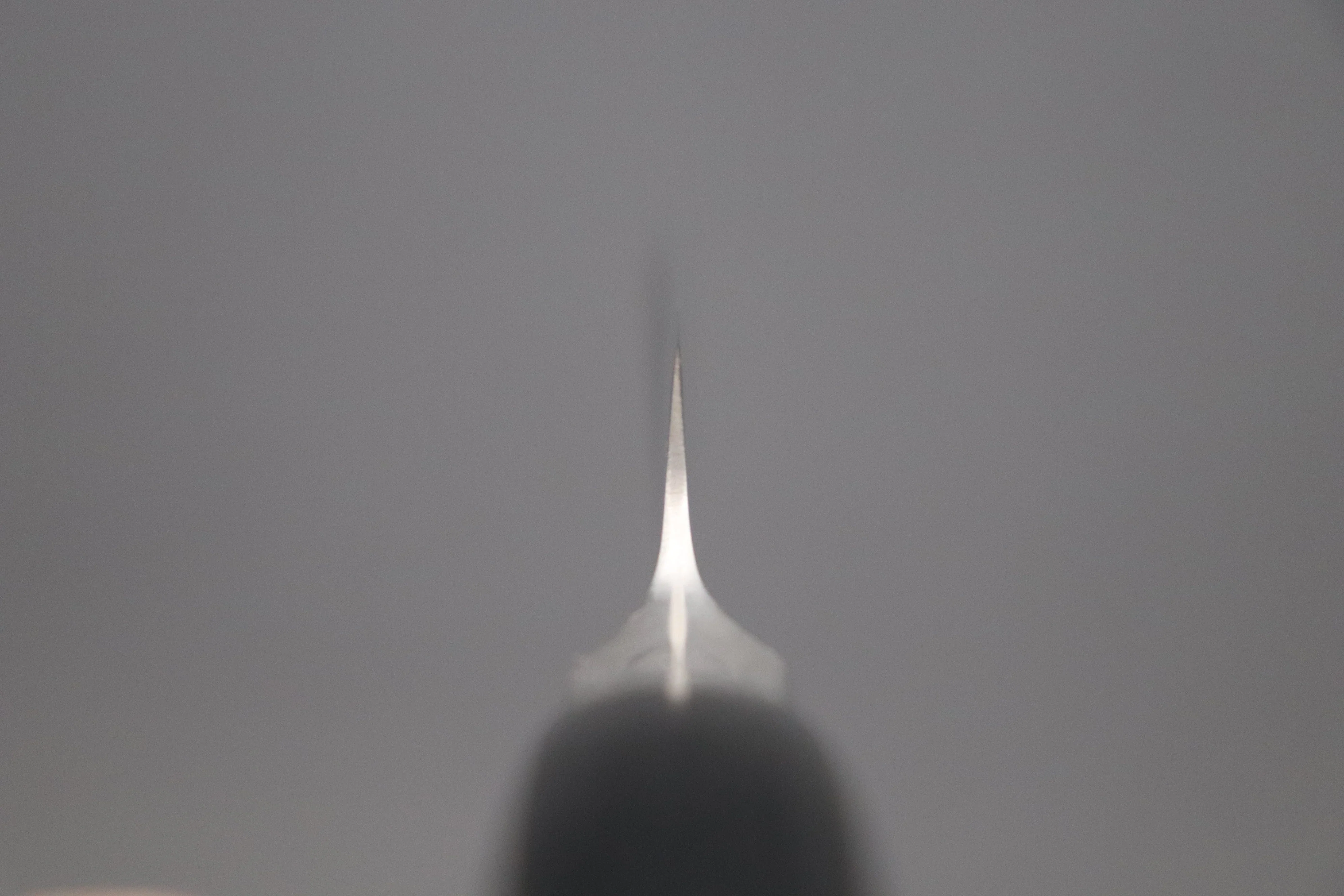 Glestain 821TSK Sujihiki 210mm (8.2 inch) - Image 4