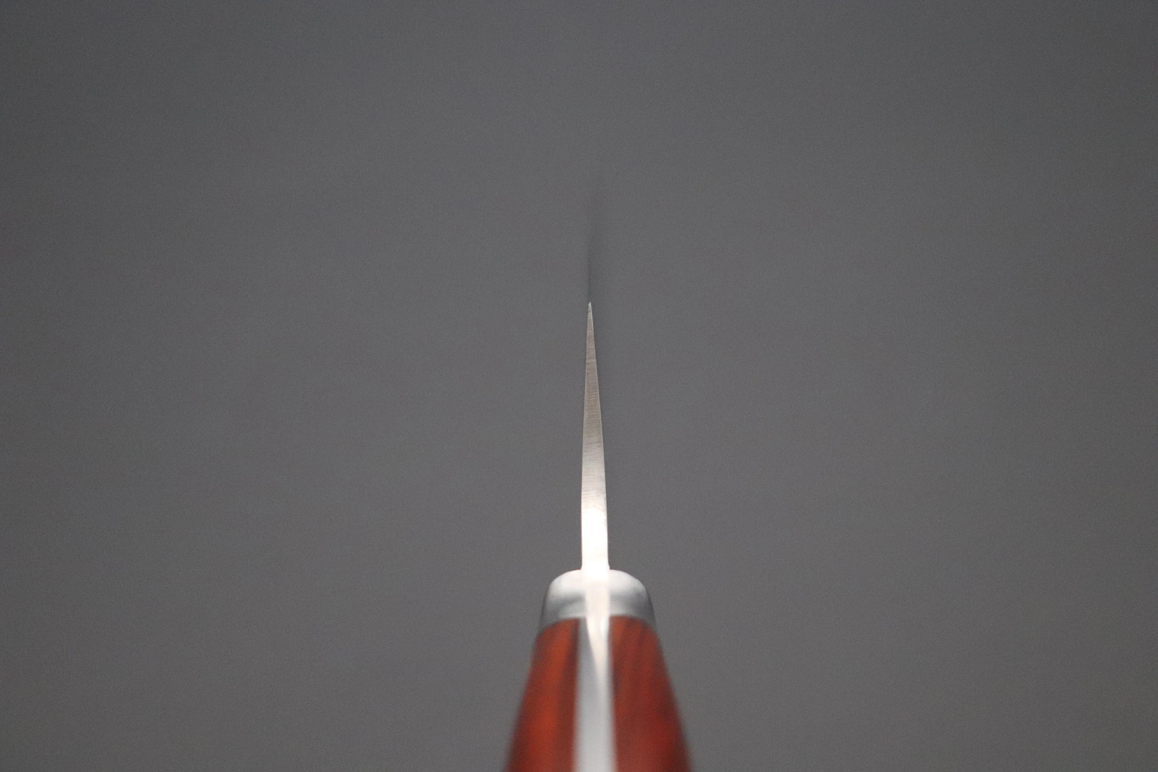 Hattori Forums FH Series Western Deba (165mm and 240mm, Cocobolo Wood Handle) - Image 4