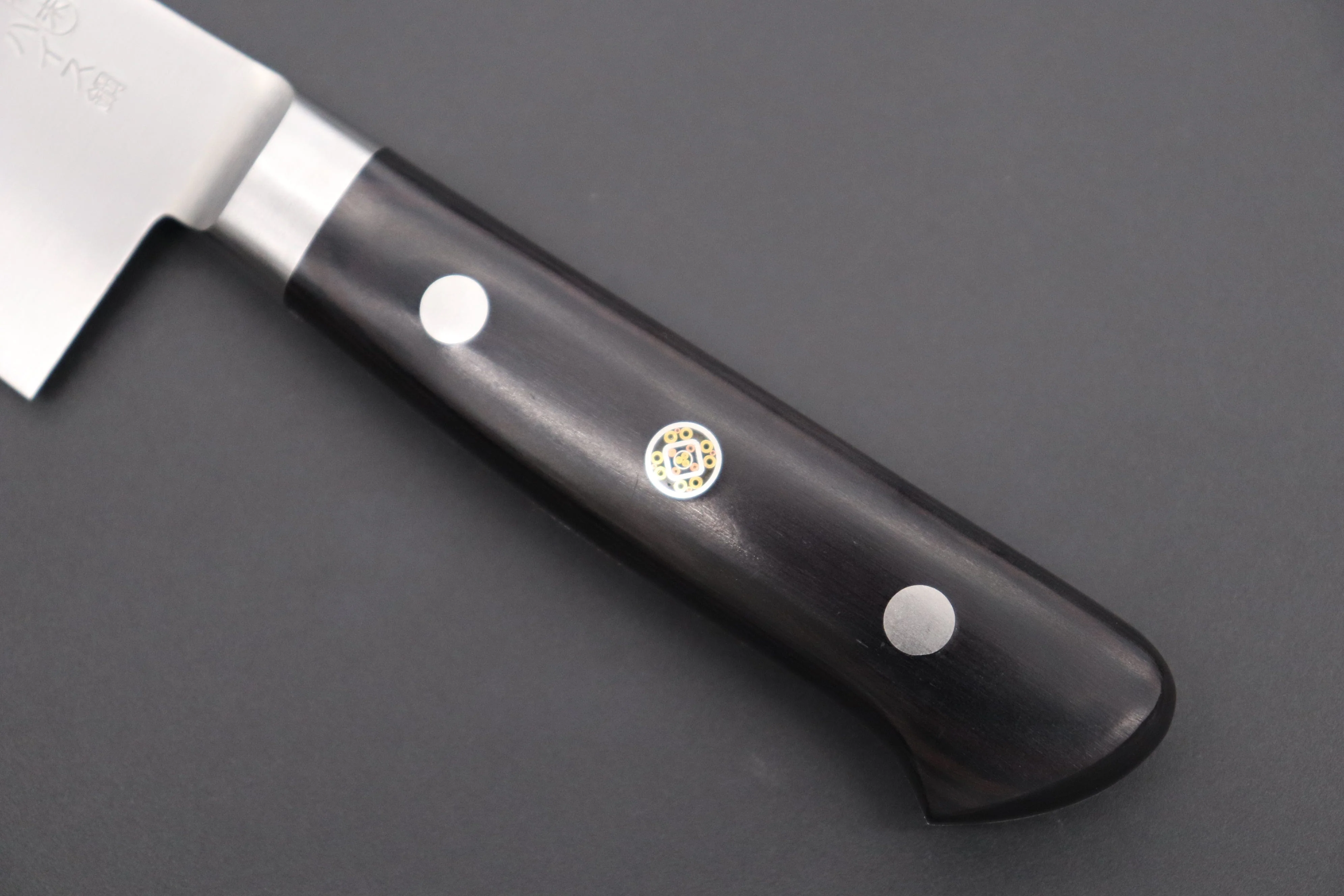 JCK Original Kagayaki R-2 Clad Series KGR2-3 Gyuto 210mm (8.2 Inch) - Image 7