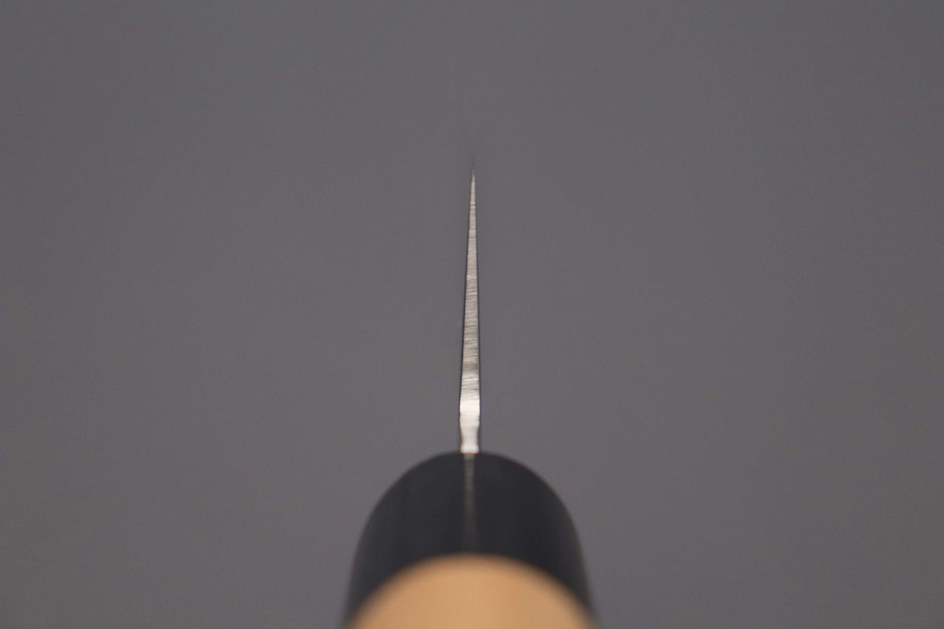JCK Natures Sakura Series Wa Gyuto (Wa Gyuto 180mm to 240mm, 3 Sizes) - Image 4