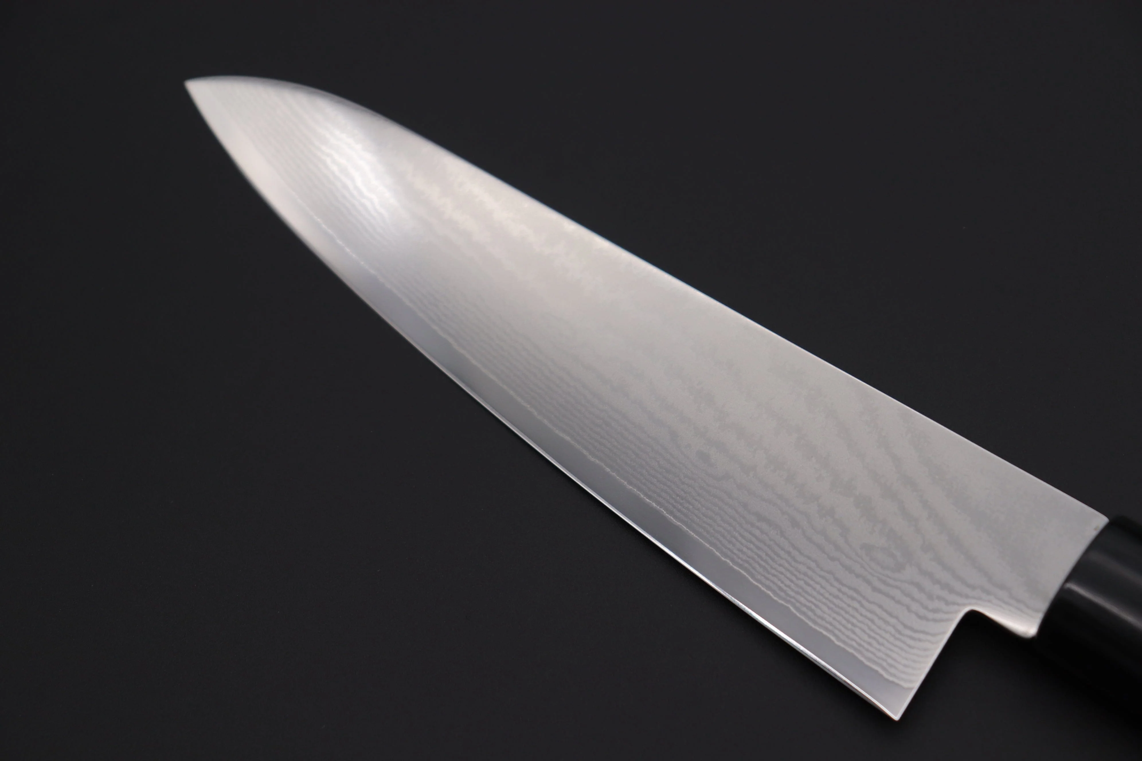 JCK Natures Sakura Series Wa Gyuto (Wa Gyuto 180mm to 240mm, 3 Sizes) - Image 6