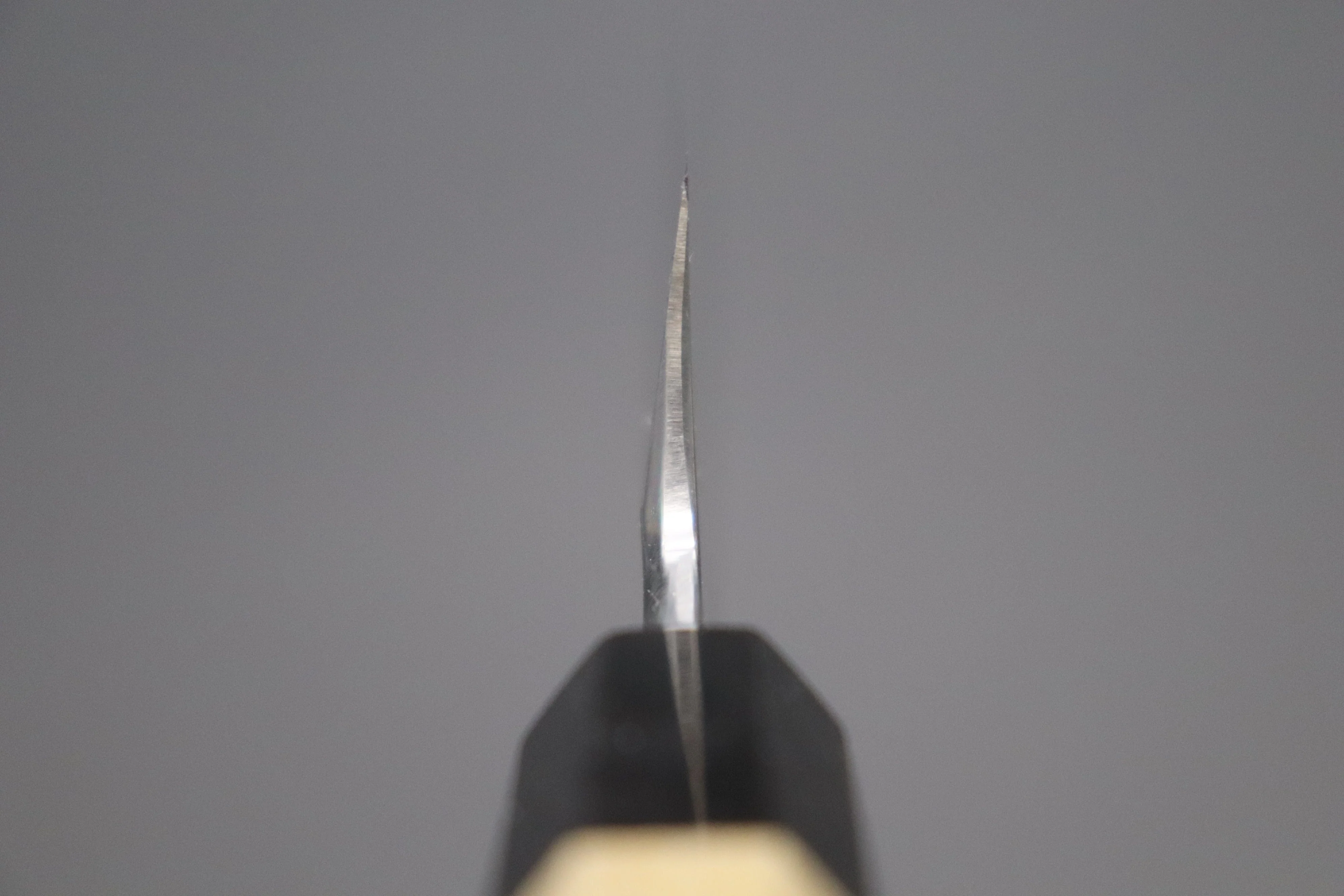 Fu-Rin-Ka-Zan Hon Kasumi Series Blue Steel No.2 Kiritsuke (240mm and 270mm) - Image 5