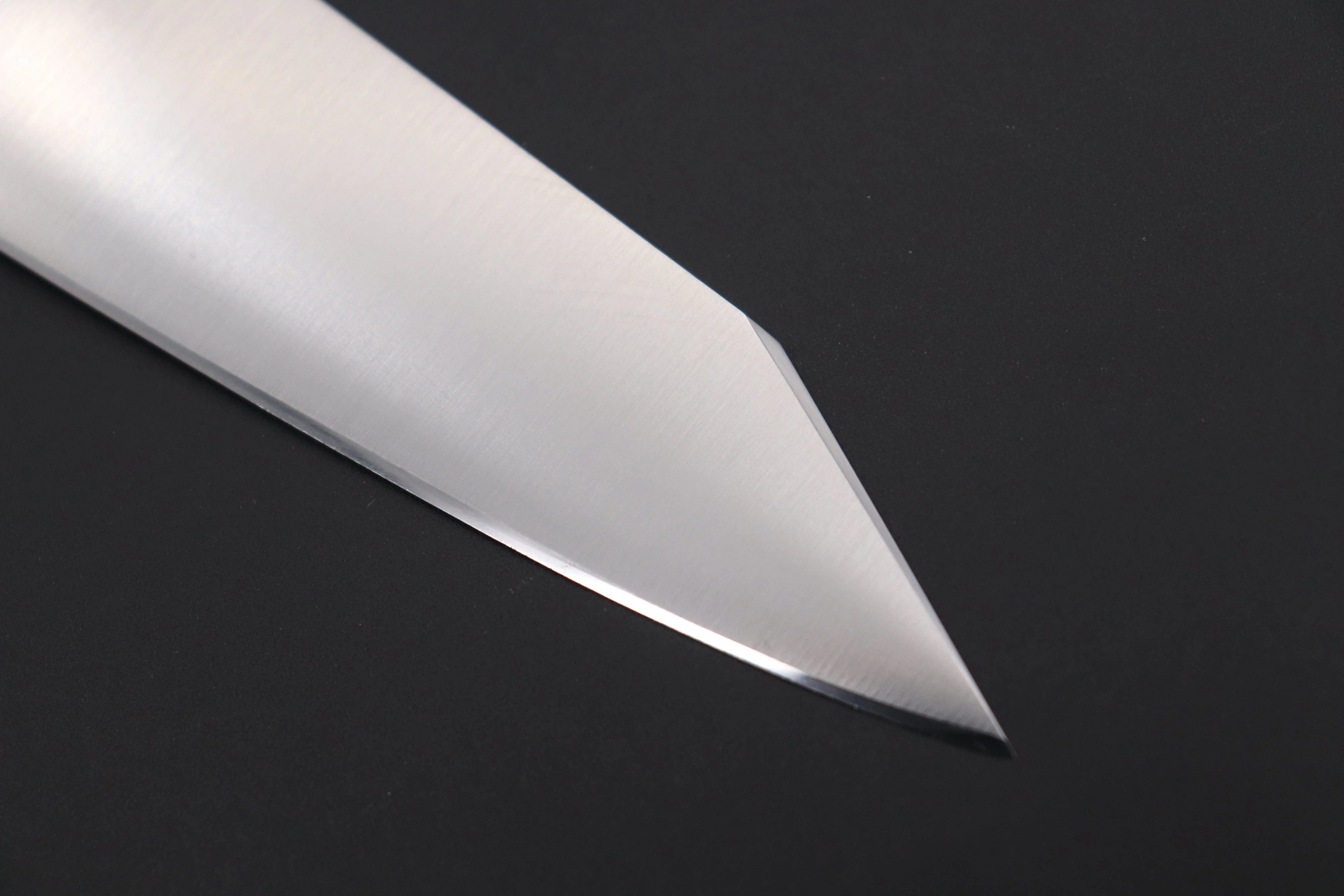 JCK Original Kagayaki Basic Series KG-6KES Kiritsuke Gyuto 210mm (8.2 inch, Special Order Made, Kiritsuke Blade Version) - Image 3