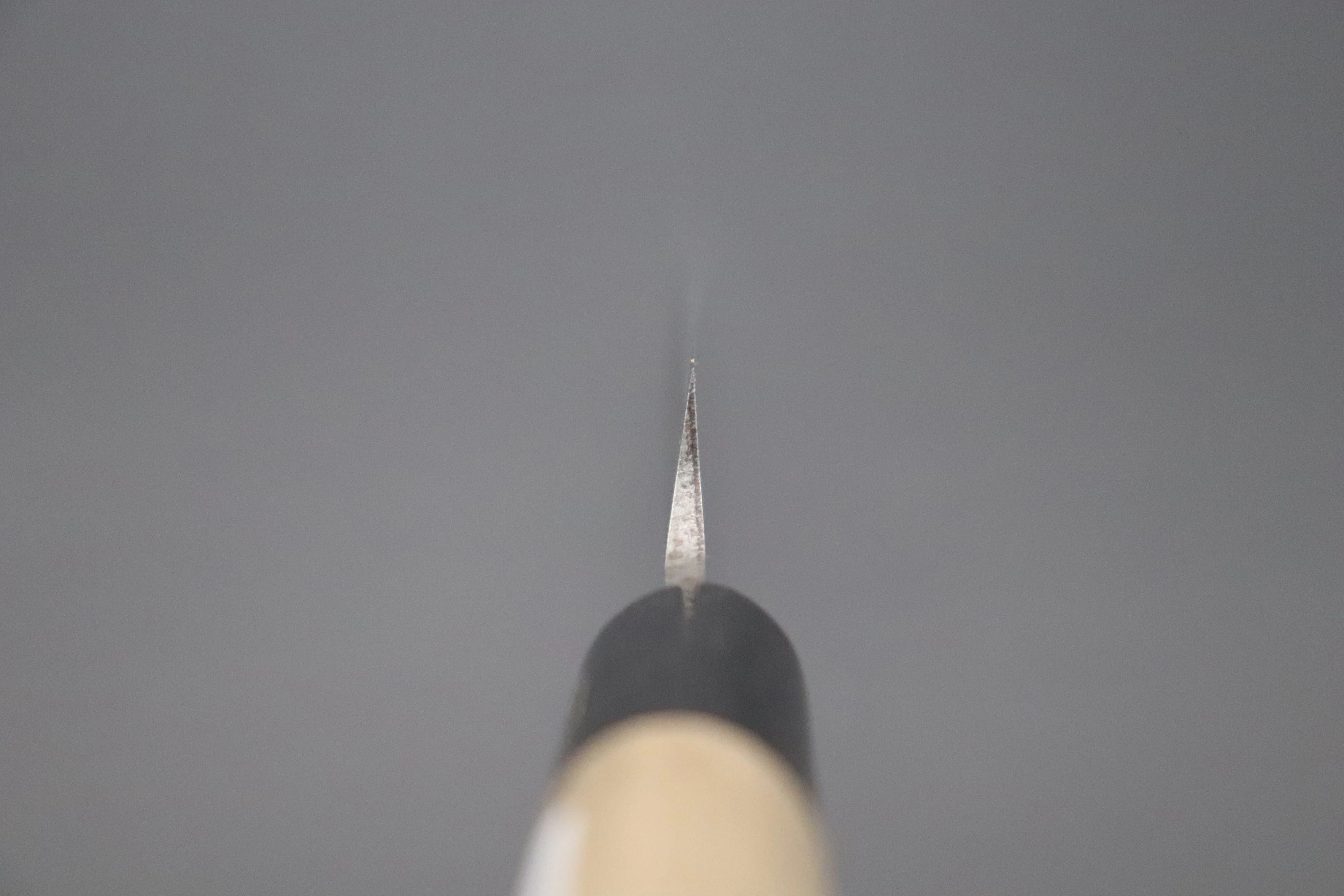 Fujiwara Kanefusa FKJ Series Yanagiba (180mm to 300mm, 5 sizes) - Image 4