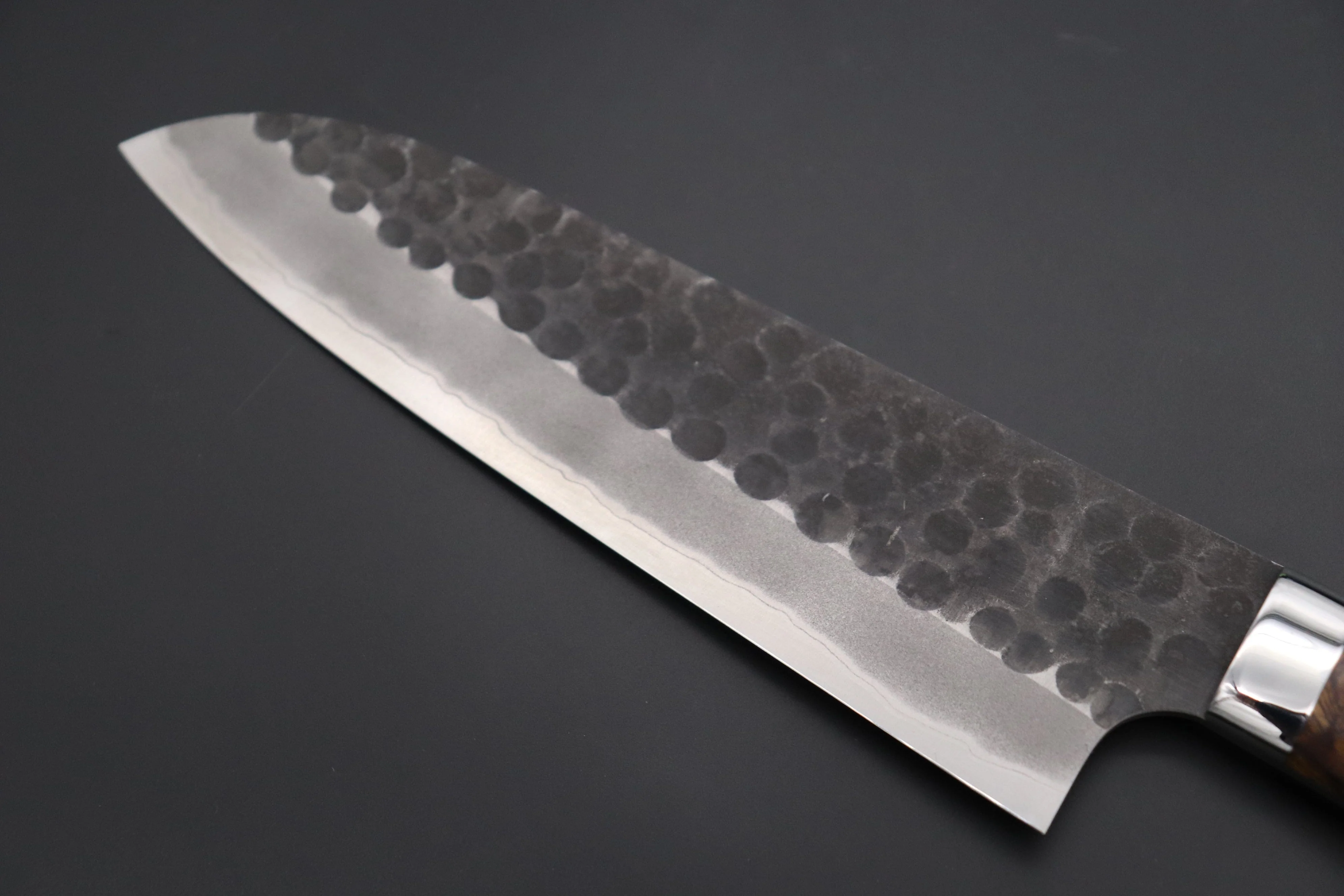 Takeshi Saji Aogami Super Custom Series Santoku 180mm (7 inch, Ironwood Handle) - Image 6