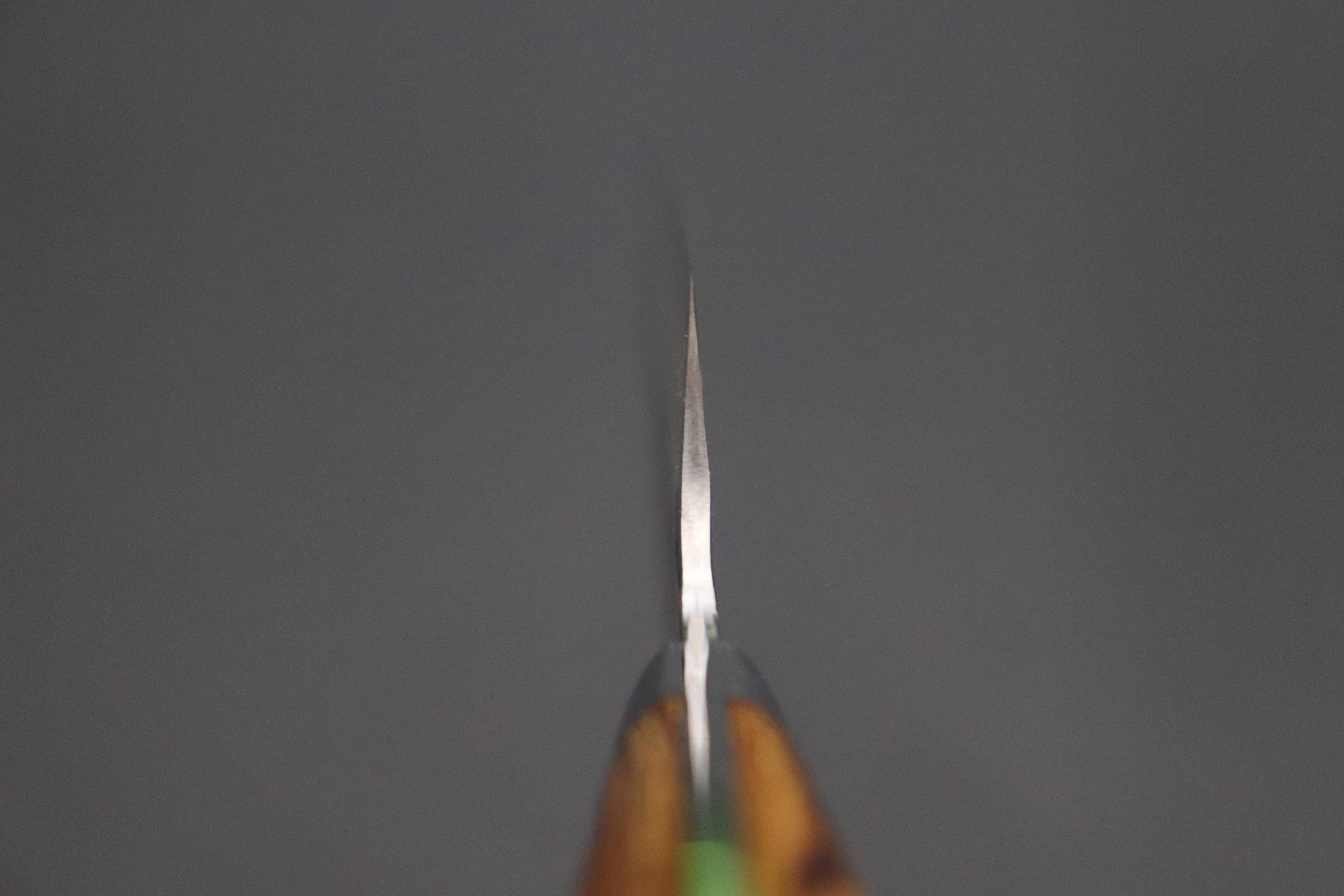 Takeshi Saji Aogami Super Custom Series Gyuto (180mm to 270mm, 4 sizes, Ironwood Handle) - Image 4