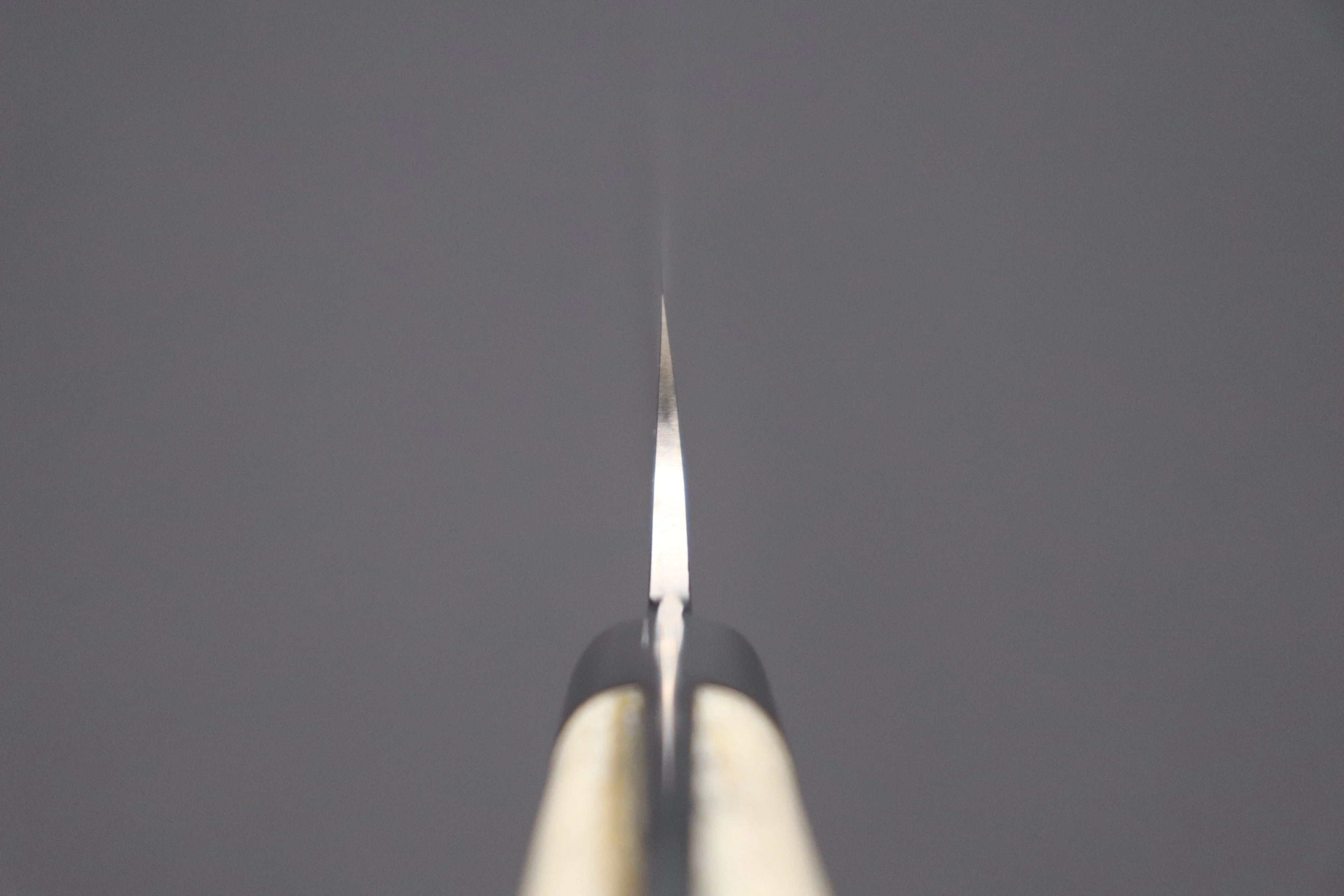 Takeshi Saji R-2 Custom Black Damascus Wild Series Sujihiki (240mm and 270mm, Stag Bone Handle) - Image 4