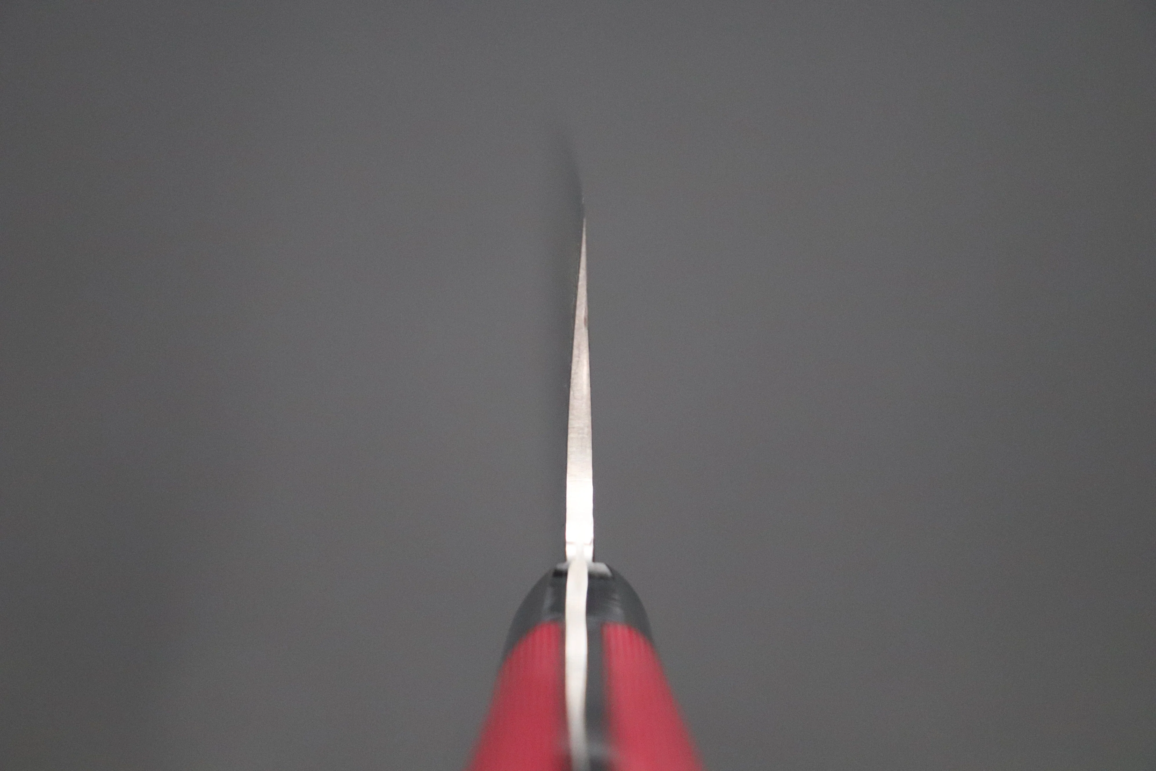 Takeshi Saji R-2 Diamond Damascus Bunka 180mm — Upswept Design (7 Inch, Red/White Linen Micarta Handle, SNRD-4RW) - Image 4