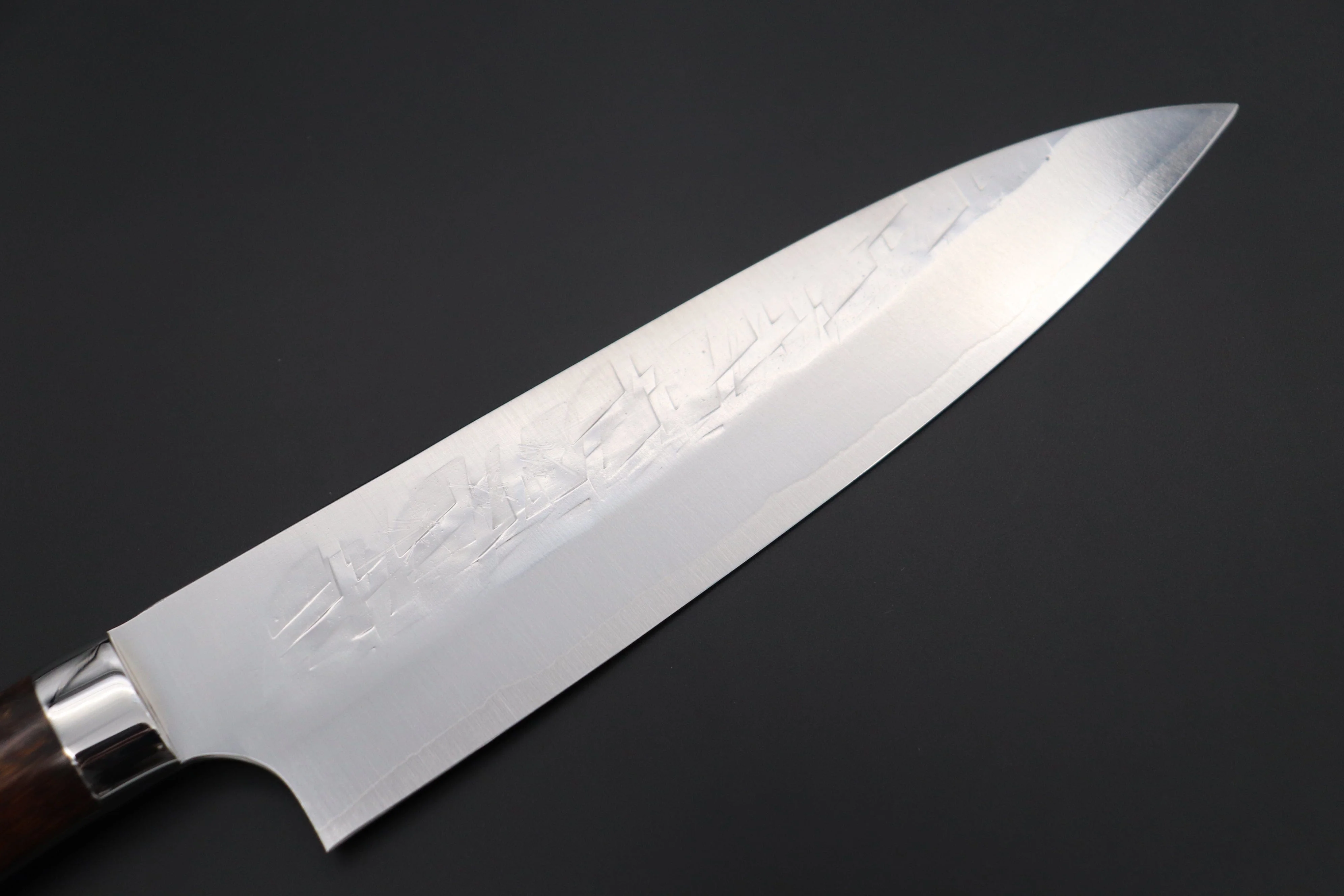 Takeshi Saji SRS-13 Hammer Forged, Custom Handmade Handle Series Gyuto (180mm to 240mm, 3 Sizes, Ironwood Handle) - Image 2