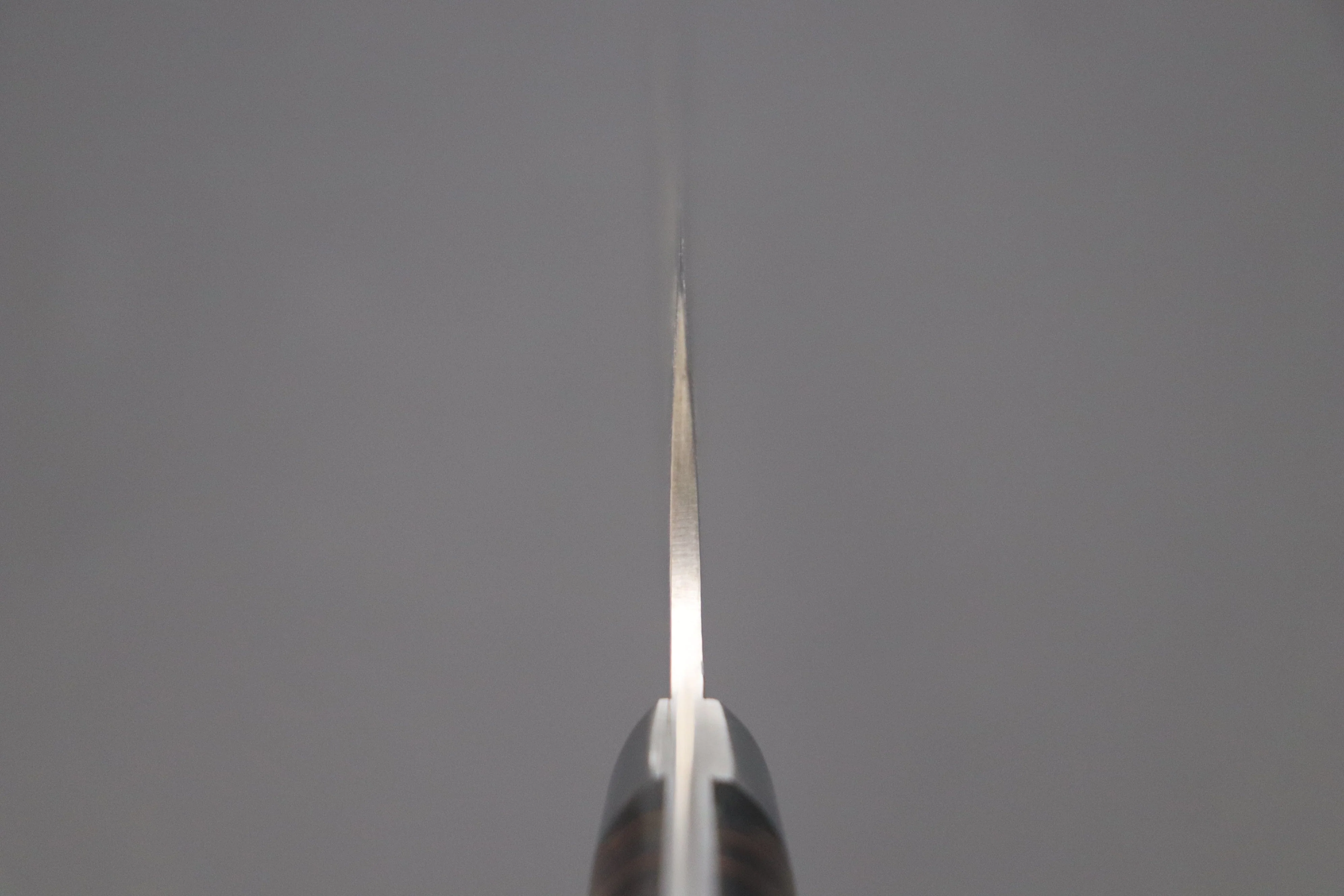 Takeshi Saji SUMMIT ― Limited Edition Custom Series  SMT-496 R-2 Custom Damascus Gyuto 240mm (9.4 Inch) - Image 4