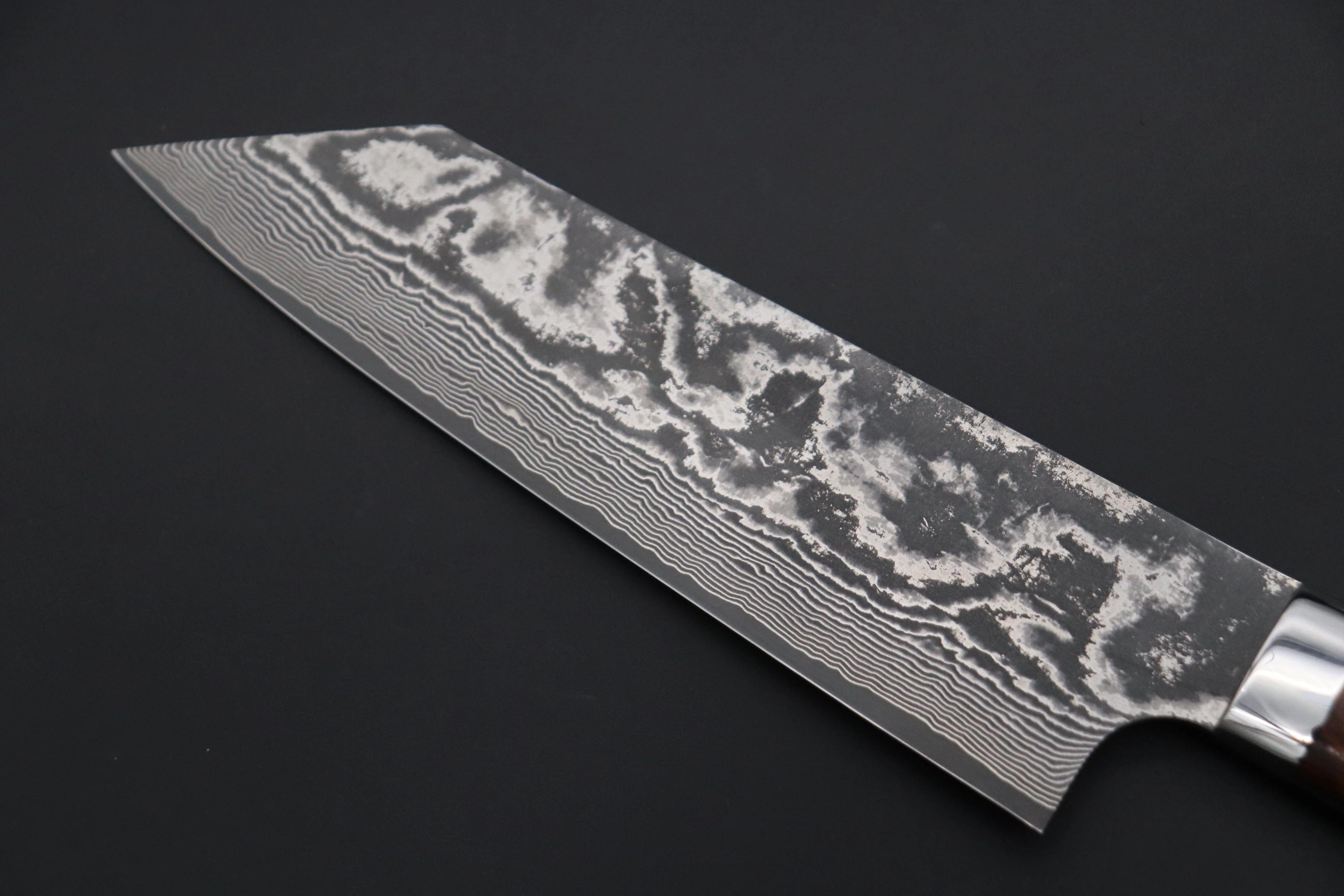 Takeshi Saji VG-10 Custom Damascus Wild Series Bunka 180mm (7 inch, Desert Ironwood Handle) - Image 6